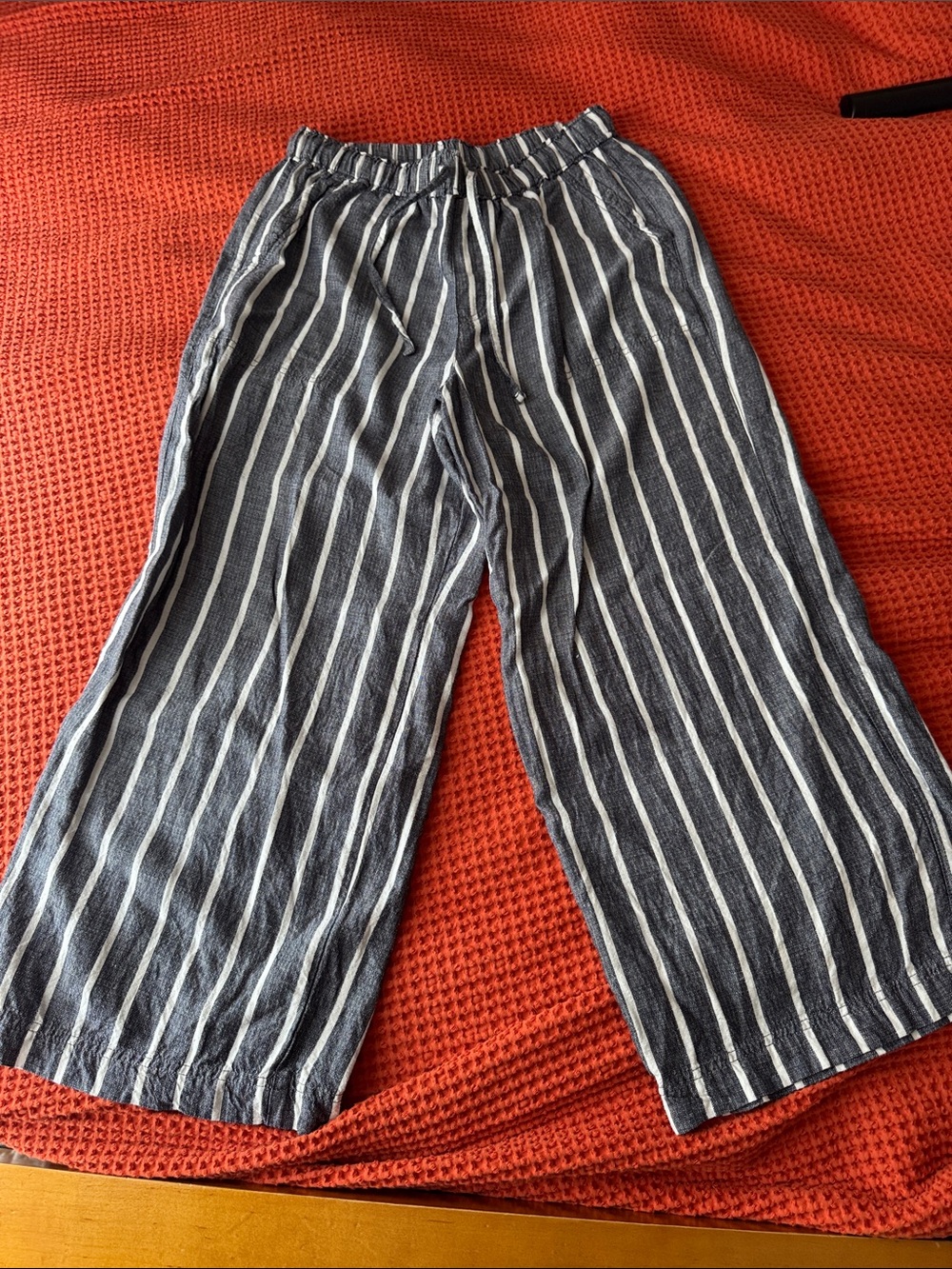 Splendid Navy and White Vertical-Strip Pants